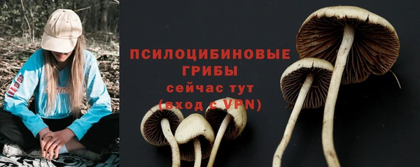 соль курить ск Няндома